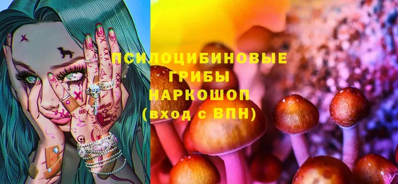 купить наркоту  Нариманов  Галлюциногенные грибы Magic Shrooms 